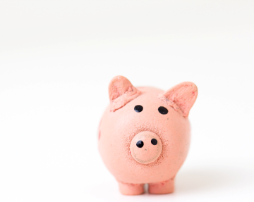 PINK CLAY PIG ON WHITE BACKGROUND OVERDRAFT PROTECTION